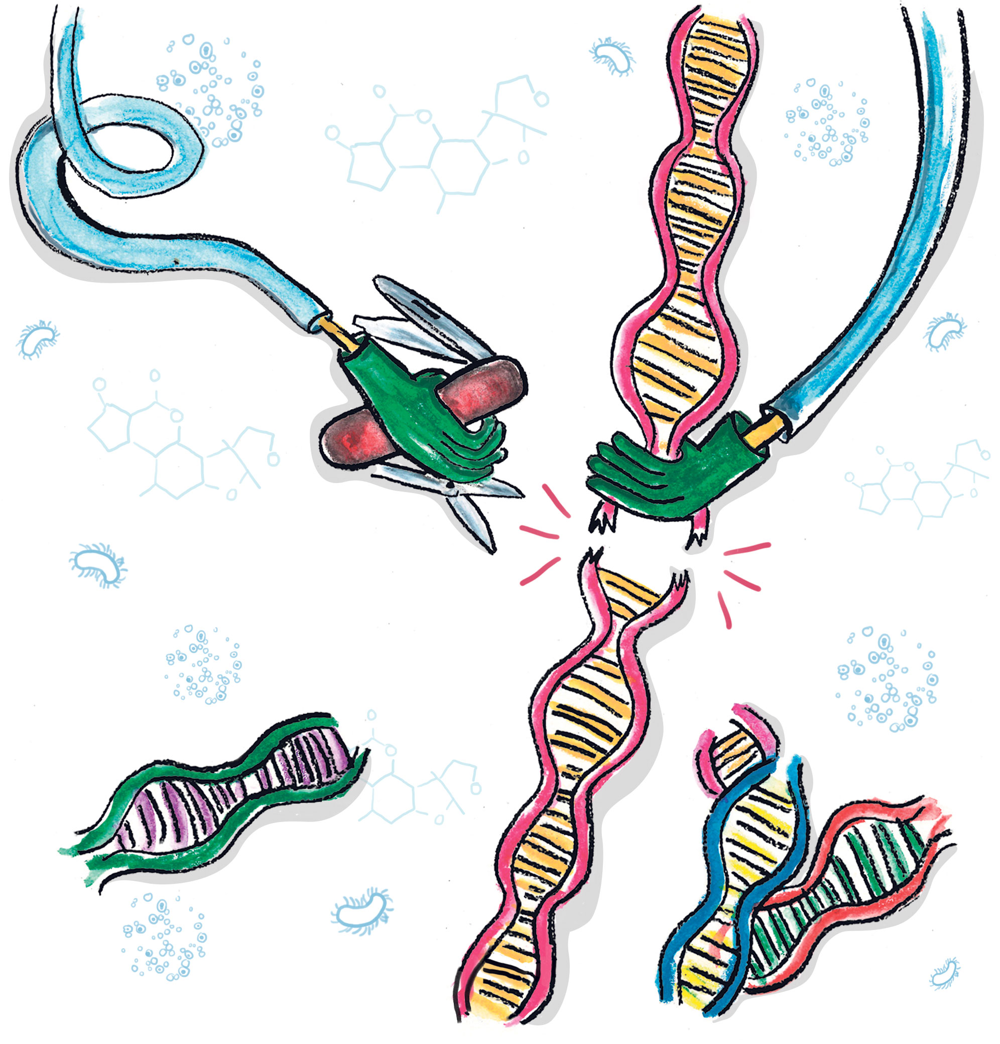 Scientific Illustration – CRISPR